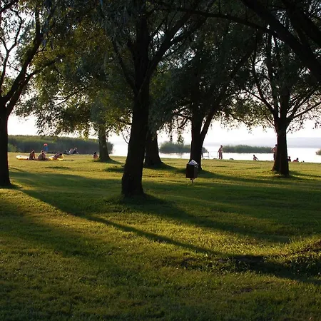 別荘 House Farsang